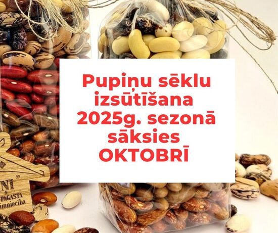 Pupiņu sēklu izsūtīšana